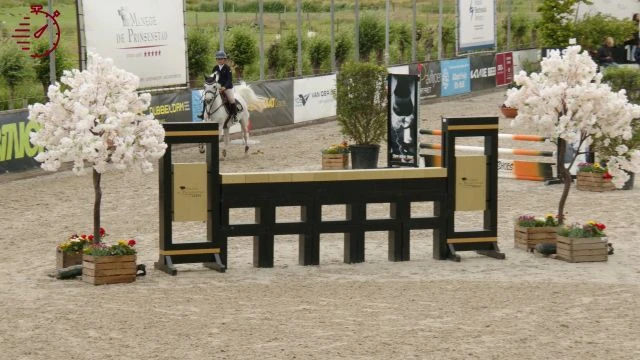 Zondag 8 juni 2025 Pony's 80-90 CDE