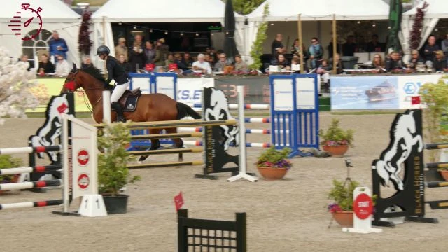 Zondag 8 juni 2025 GP Paarden U25 120 - 130 cm
