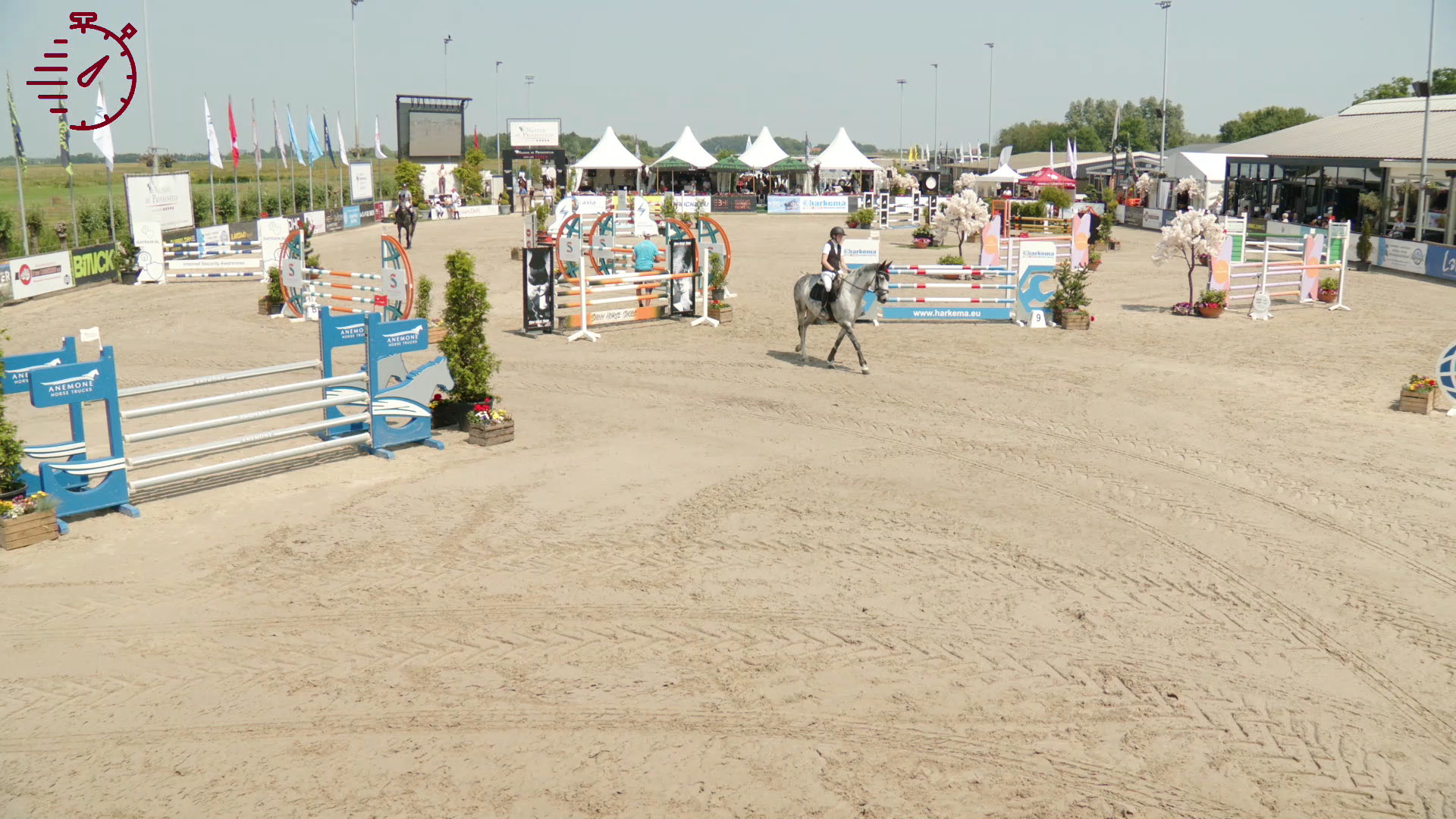 Donderdag 13 juni 2025 Paarden 120 cm - 2 Fasen Special