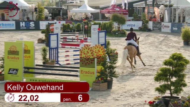 Zaterdag 14 juni 2025 Paarden 80 cm - 2 Fasen Special