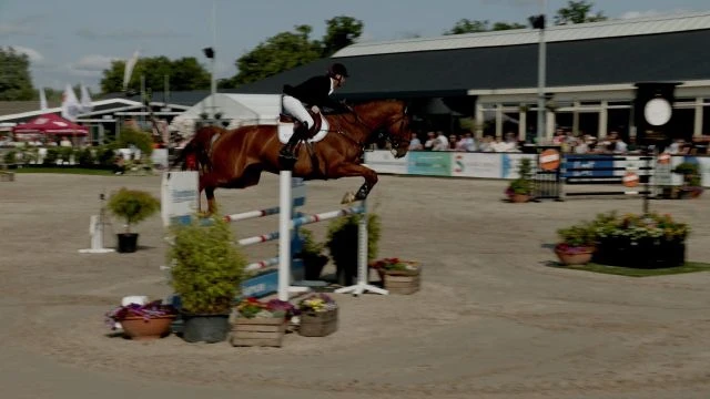 Zondag 15 juni 2025 Grote Prijs Paarden 130 - 135 cm
