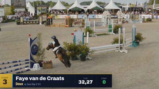 Za30.17) Eradus Prijs - Derby Pony's