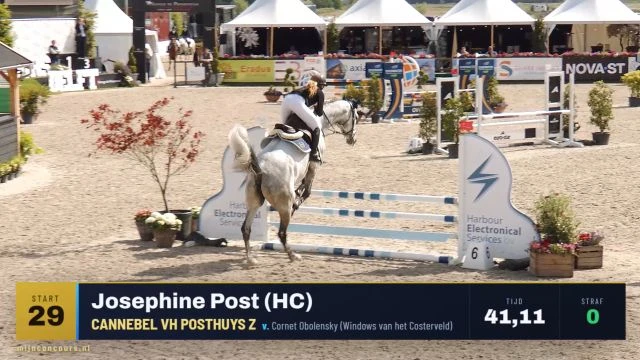 Vr5.2) Vente Paardenvoeding Prijs - 90 cm