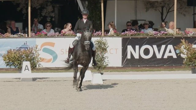 Subtop Delft 22 mei 2026 - Manege De Prinsenstad